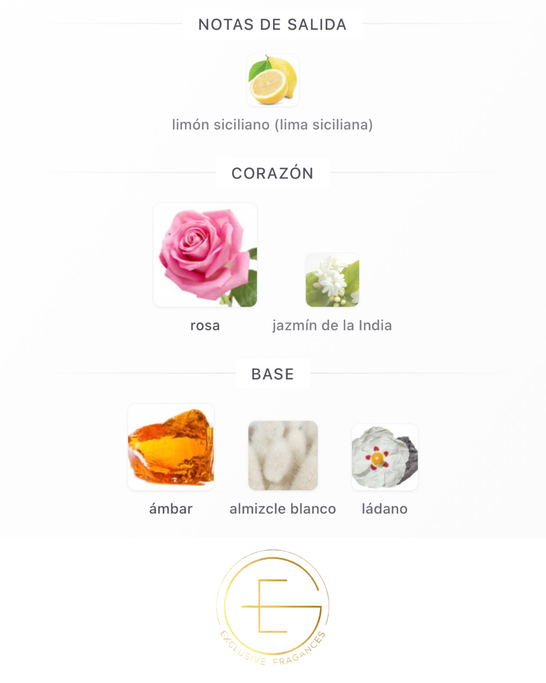 Mancera Amber & Roses