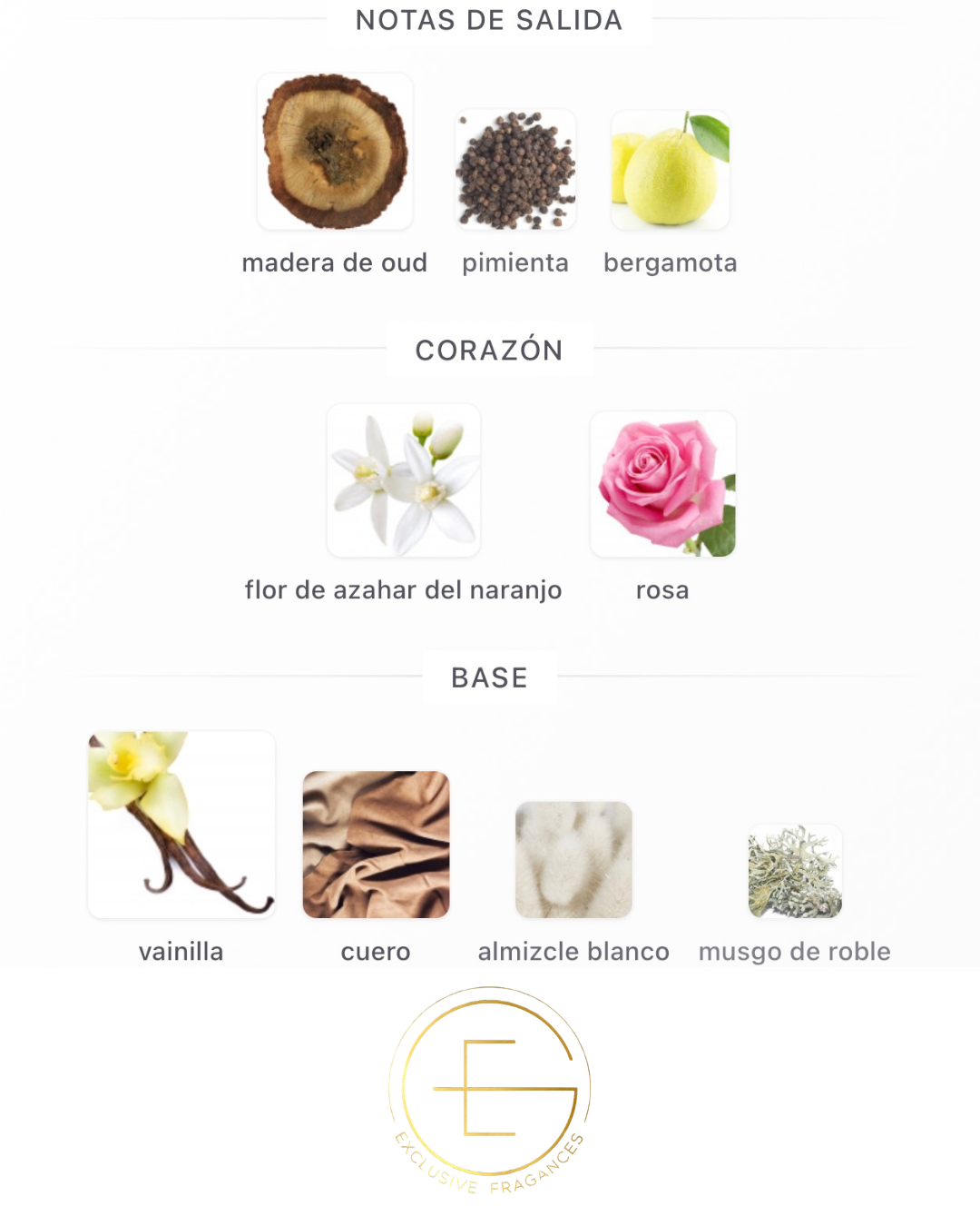 Mancera Gold Prestigium