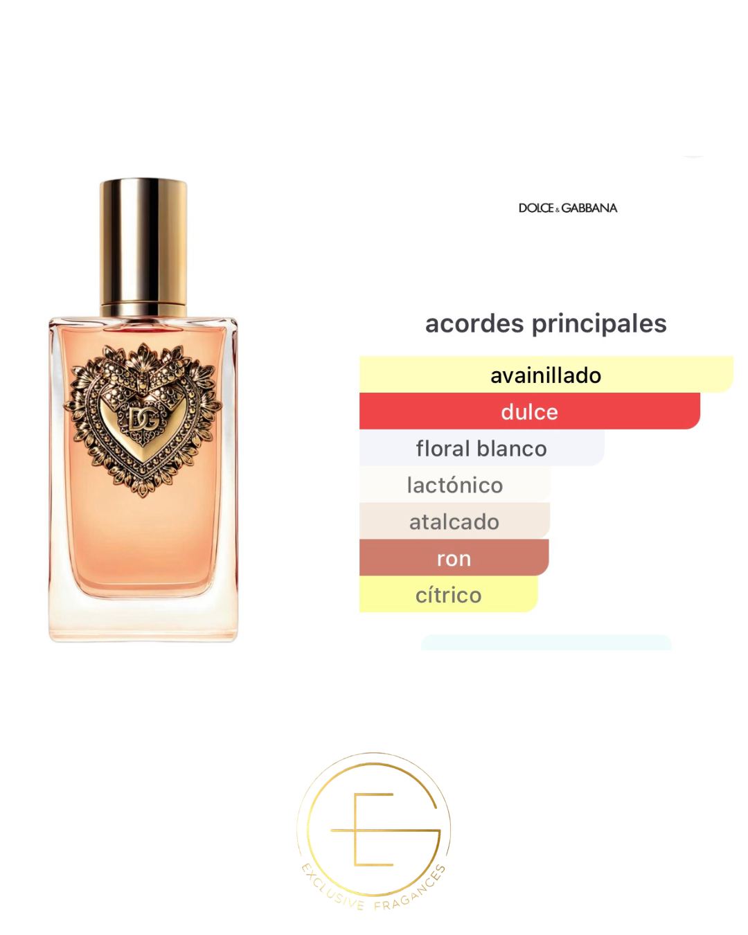 Dolce & Gabbana Devotion
