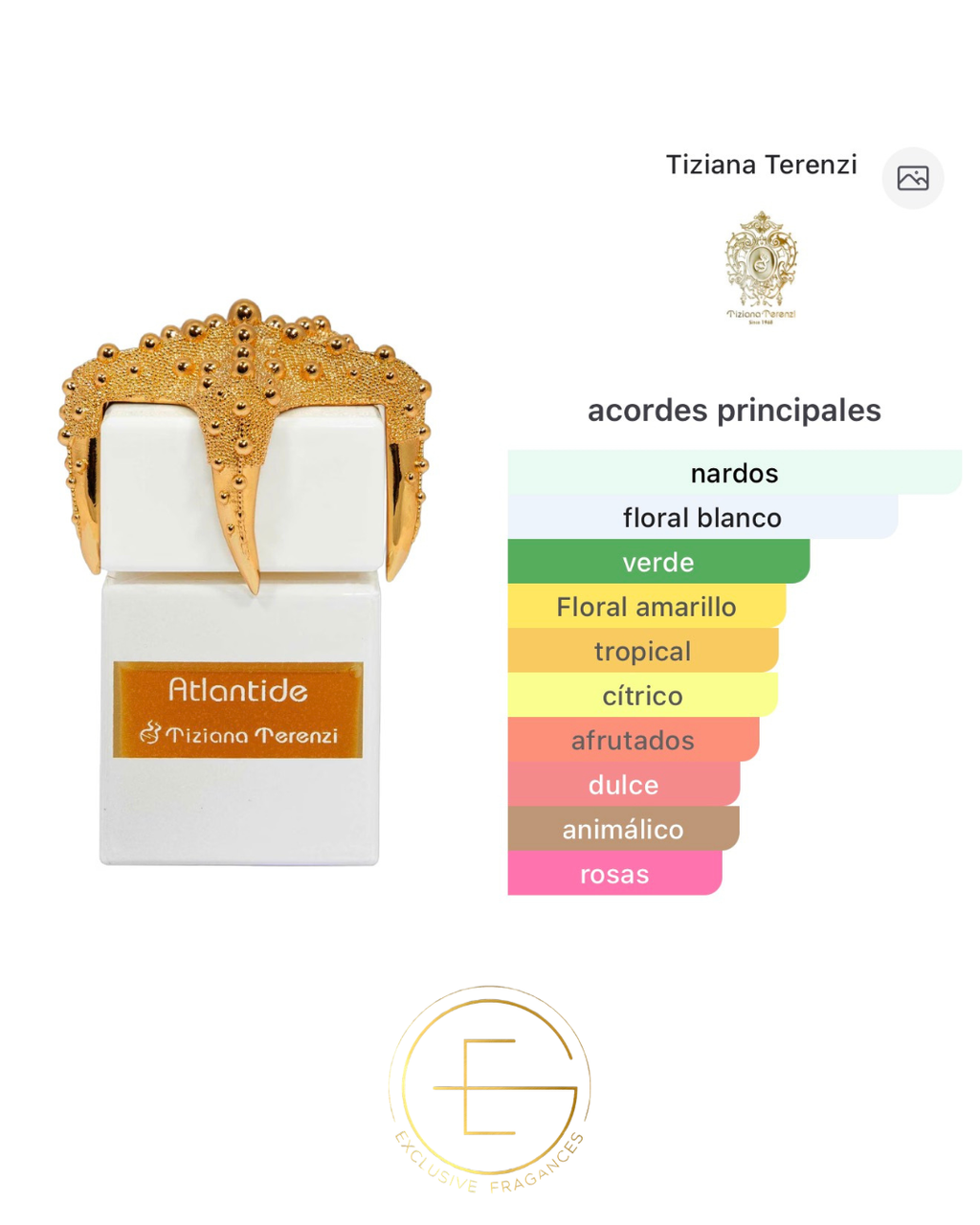 Tiziana Terenzi Atlantide