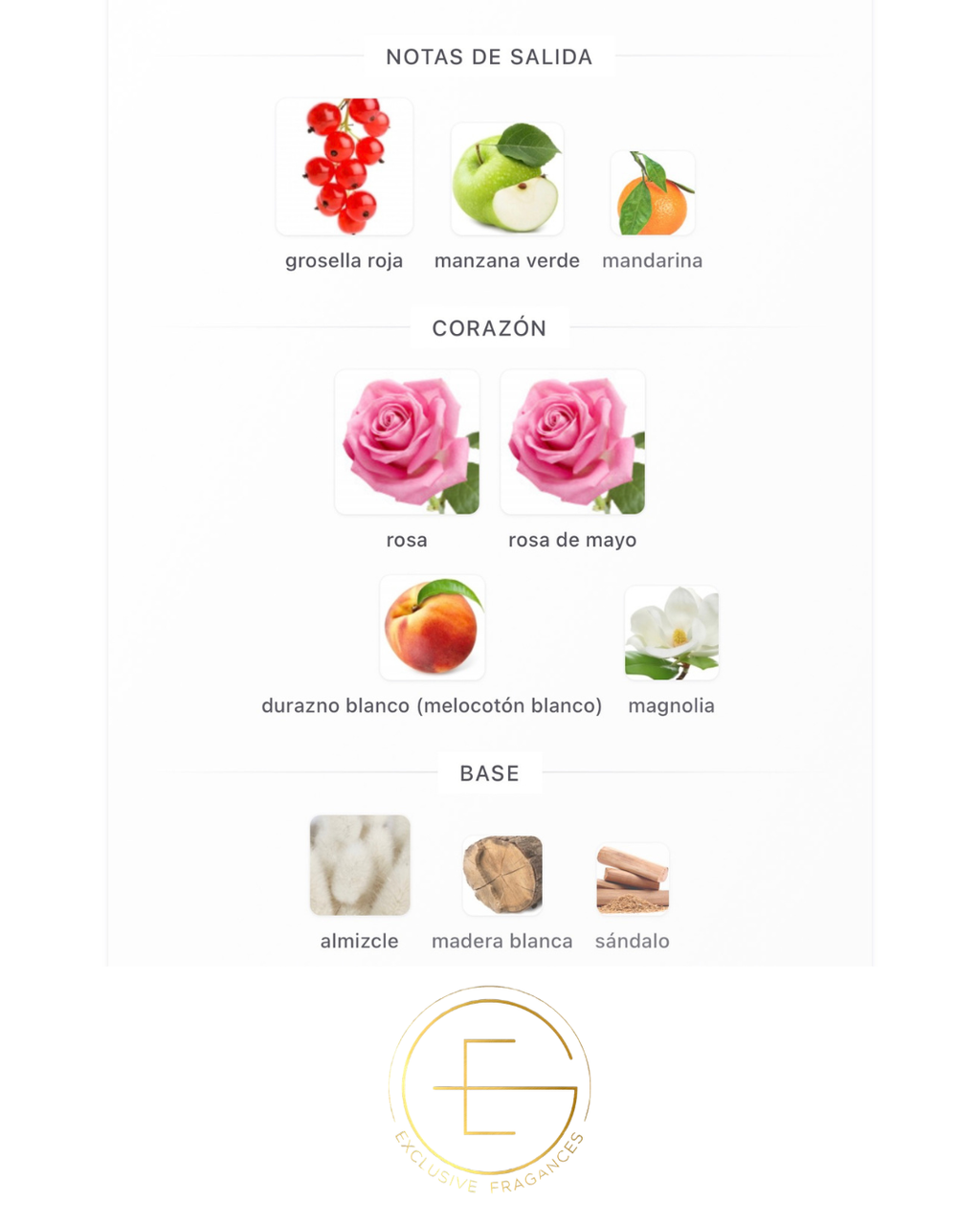 Dolce & Gabbana Dolce Rose