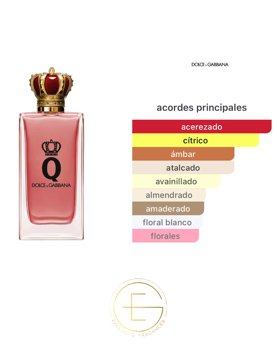 Dolce & Gabbana Q Intense