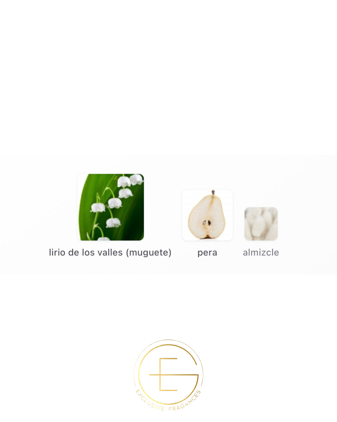Maison Margiela Replica Springtime In A Park