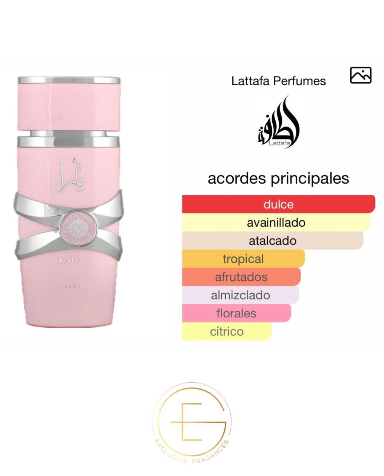 Lattafa Yara