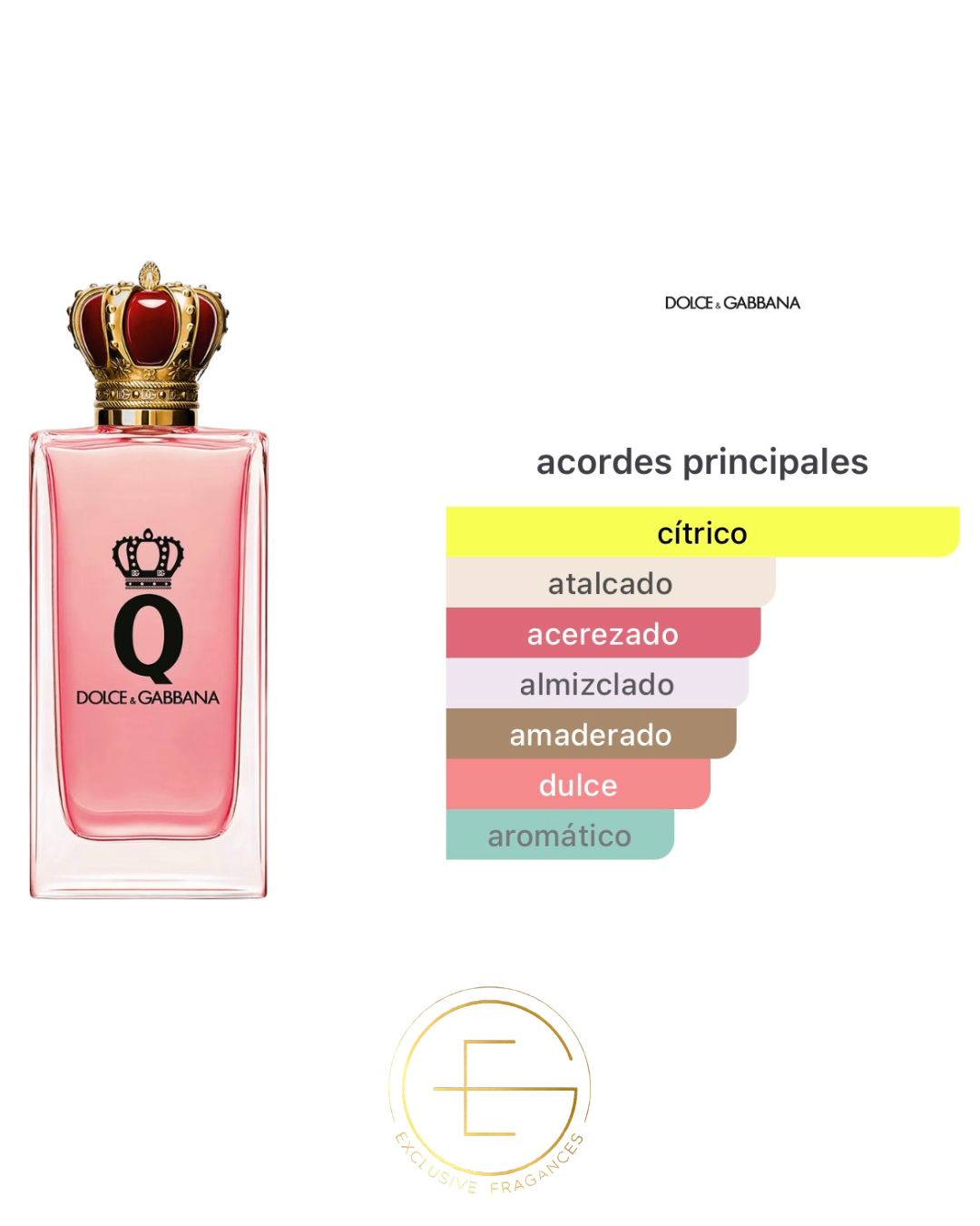 Dolce & Gabbana Q