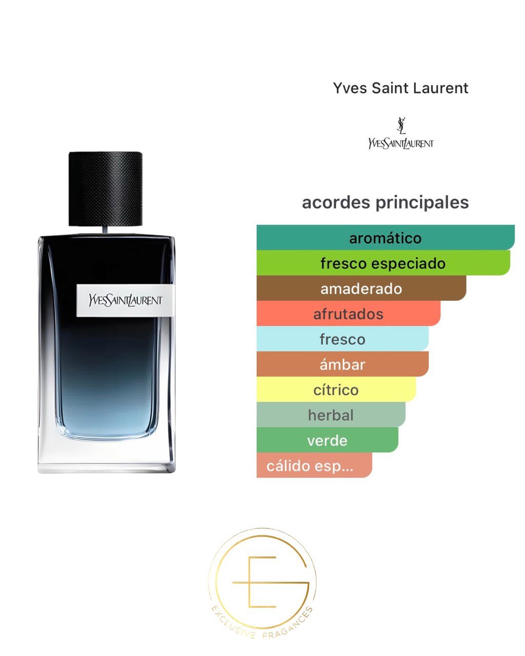 Yves Saint Laurent Y